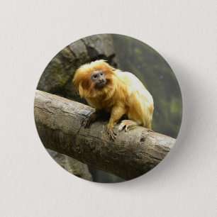 Badge Rond 5 Cm Tamarin d'or de lion