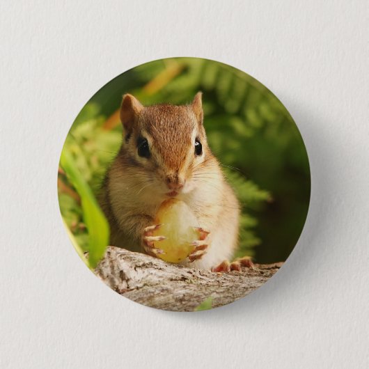 Badge Rond 5 Cm Tamia de bébé avec le casse-croûte (Devant)