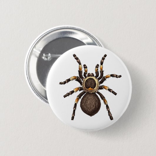 Badge Rond 5 Cm Tarantula (Devant & derrière)
