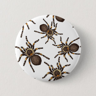 Badge Rond 5 Cm Tarantula sur blanc