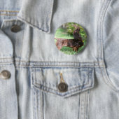 Badge Rond 5 Cm Teckel miniature aux cheveux longs 1 (En situation)