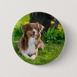 Badge Rond 5 Cm Téléchargez votre photo préférée pour animal de co