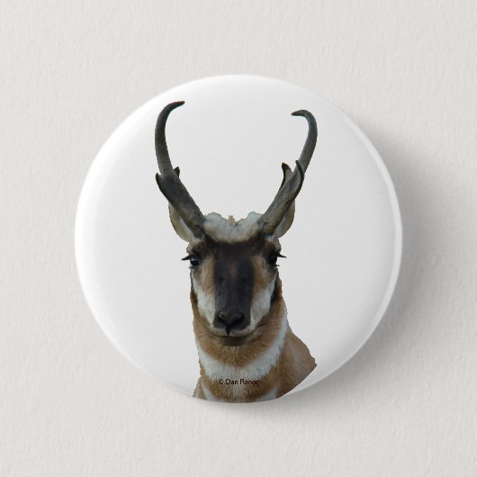 Badge Rond 5 Cm Tête d'antilope d'A9 Pronghorn (Devant)