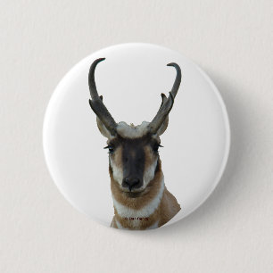 Badge Rond 5 Cm Tête d'antilope d'Amérique A9