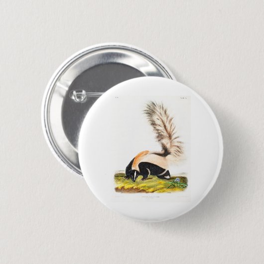 Badge Rond 5 Cm the viviviparous quadrupeds by John James Audubon (Devant & derrière)