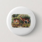 Badge Rond 5 Cm the viviviparous quadrupeds by John James Audubon (Devant)