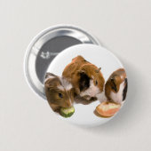 Badge Rond 5 Cm three guinea pigs who eat, (Devant & derrière)
