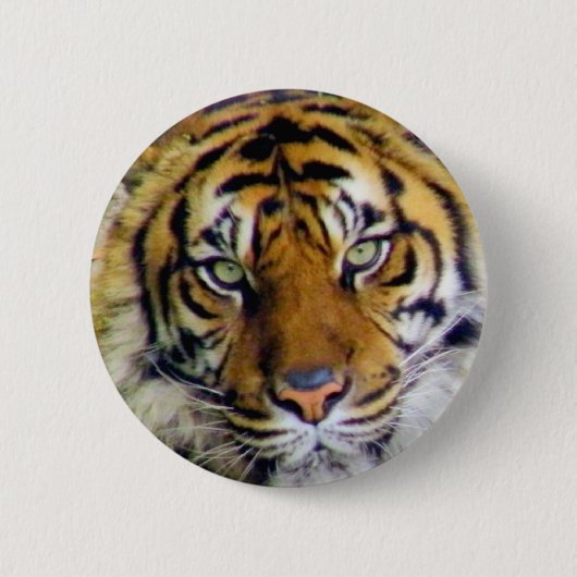 Badge Rond 5 Cm Tiger_ (Devant)