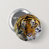 Badge Rond 5 Cm Tiger_ (Devant & derrière)