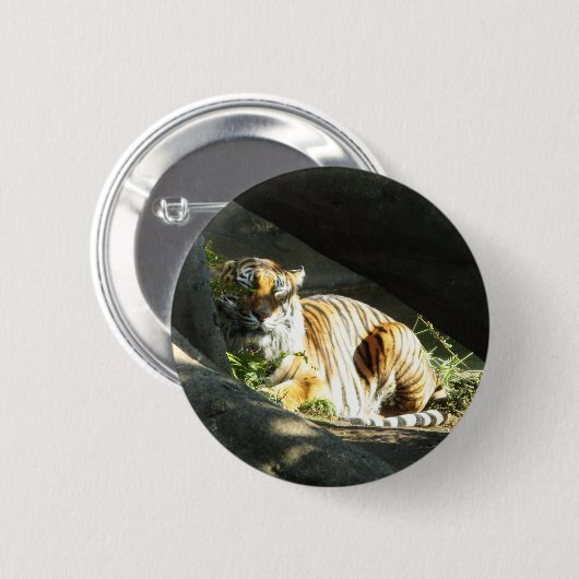 Badge Rond 5 Cm Tiger Catnap (Devant & derrière)