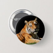 Badge Rond 5 Cm Tiger Closeup (Devant & derrière)