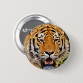 Badge Rond 5 Cm Tigre (Devant & derrière)
