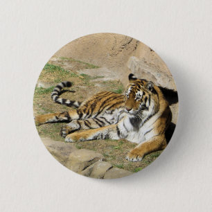 Badge Rond 5 Cm Tigre couchant