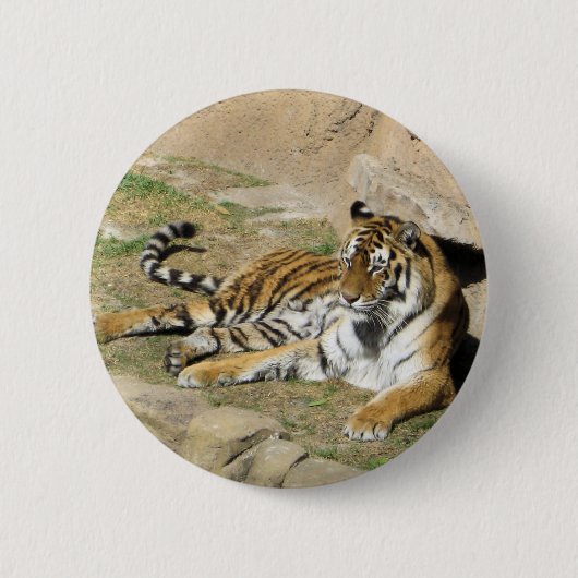 Badge Rond 5 Cm Tigre couchant (Devant)