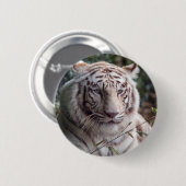 Badge Rond 5 Cm Tigre de Bengale blanc (Devant & derrière)