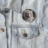 Badge Rond 5 Cm Tigre de Bengale blanc (En situation)