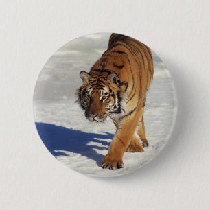 Badge Rond 5 Cm Tigre de vagabondage