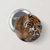 Badge Rond 5 Cm Tigre du Bengale (Devant & derrière)