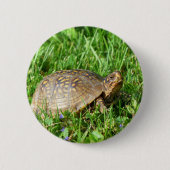 Badge Rond 5 Cm Tortue (Devant)
