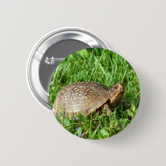 Badge Rond 5 Cm Tortue (Devant & derrière)