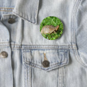 Badge Rond 5 Cm Tortue (En situation)
