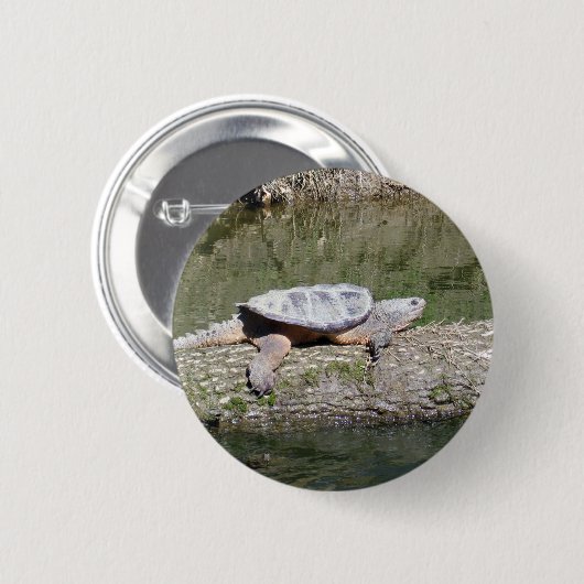Badge Rond 5 Cm Tortue (Devant & derrière)