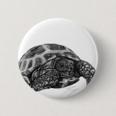 Badge Rond 5 Cm Tortue (Devant)