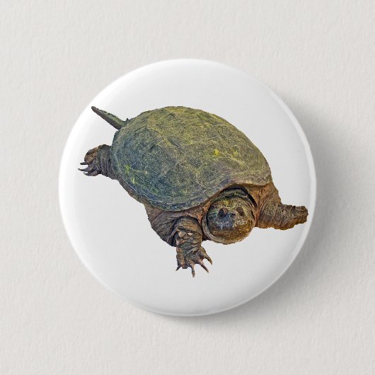 Badge Rond 5 Cm Tortue commune - Chelydra serpentina (Devant)