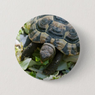 Badge Rond 5 Cm Tortue mignonne