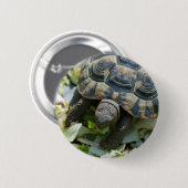 Badge Rond 5 Cm Tortue mignonne (Devant & derrière)