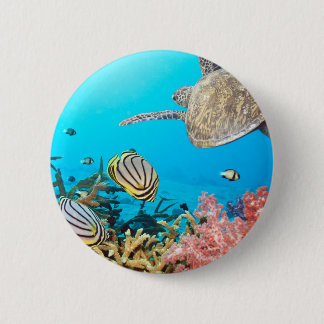 Badge Rond 5 Cm Tortue Naturescape de récif coralien