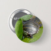 Badge Rond 5 Cm Tortue peinte bébé sur Lilypad objets (Devant & derrière)