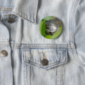 Badge Rond 5 Cm Tortue peinte bébé sur Lilypad objets (En situation)