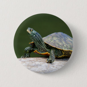 Badge Rond 5 Cm Tortue peinte sur un bûcher