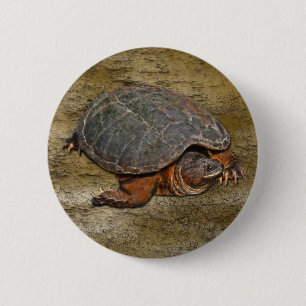 Badge Rond 5 Cm Tortue serpentine Terrapin-lover Cadeau
