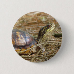 Badge Rond 5 Cm Tortue - Sortie du cou