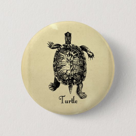 Badge Rond 5 Cm TORTUE vintage (Devant)