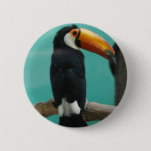Badge Rond 5 Cm Toucan (Devant)
