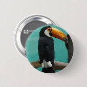 Badge Rond 5 Cm Toucan (Devant & derrière)