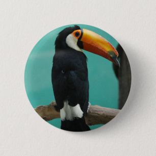 Badge Rond 5 Cm Toucan