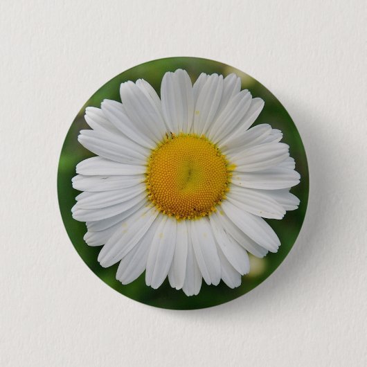 Badge Rond 5 Cm Tournesol (Devant)
