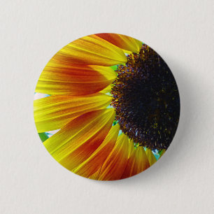 Badge Rond 5 Cm Tournesol
