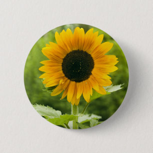 Badge Rond 5 Cm Tournesol