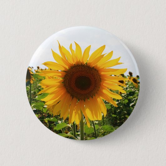 Badge Rond 5 Cm Tournesol ensoleillé (Devant)