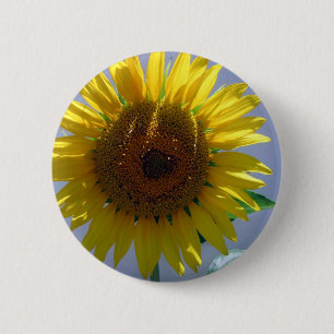 Badge Rond 5 Cm Tournesol jaune