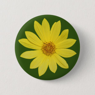 Badge Rond 5 Cm Tournesol "Reine du citron" de Helianthus (isolé)