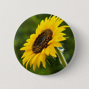 Badge Rond 5 Cm Tournesol Sideshot