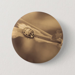 Badge Rond 5 Cm tout un été