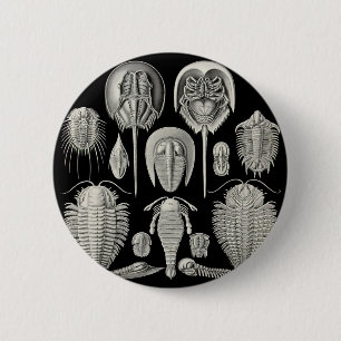 Badge Rond 5 Cm Trilobite !