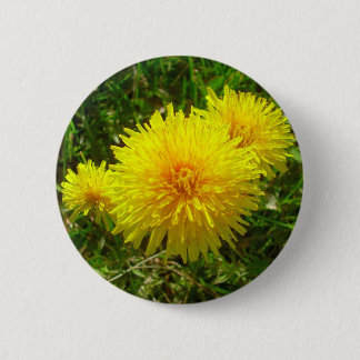 Badge Rond 5 Cm Trio de pissenlit